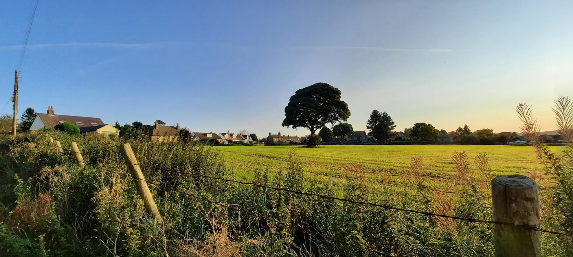 Green belt land under threat from developers at Cumberworth